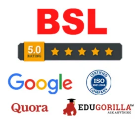 BSL Portfolio